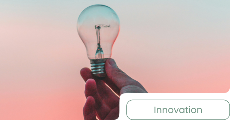 Cr&eacute;dit Imp&ocirc;t Innovation (CII)