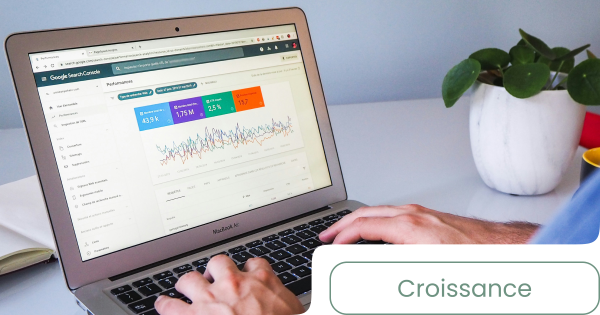 R&eacute;f&eacute;rencement naturel et audit SEO automatis&eacute;